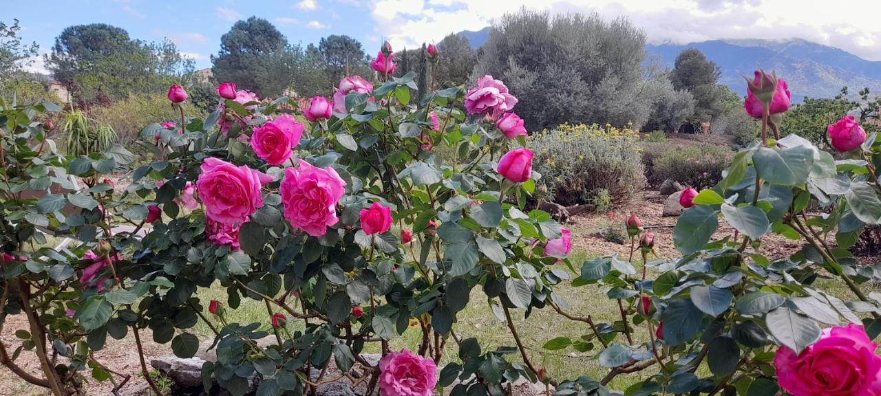 Castell Rose Panzió Prades  Kültér fotó