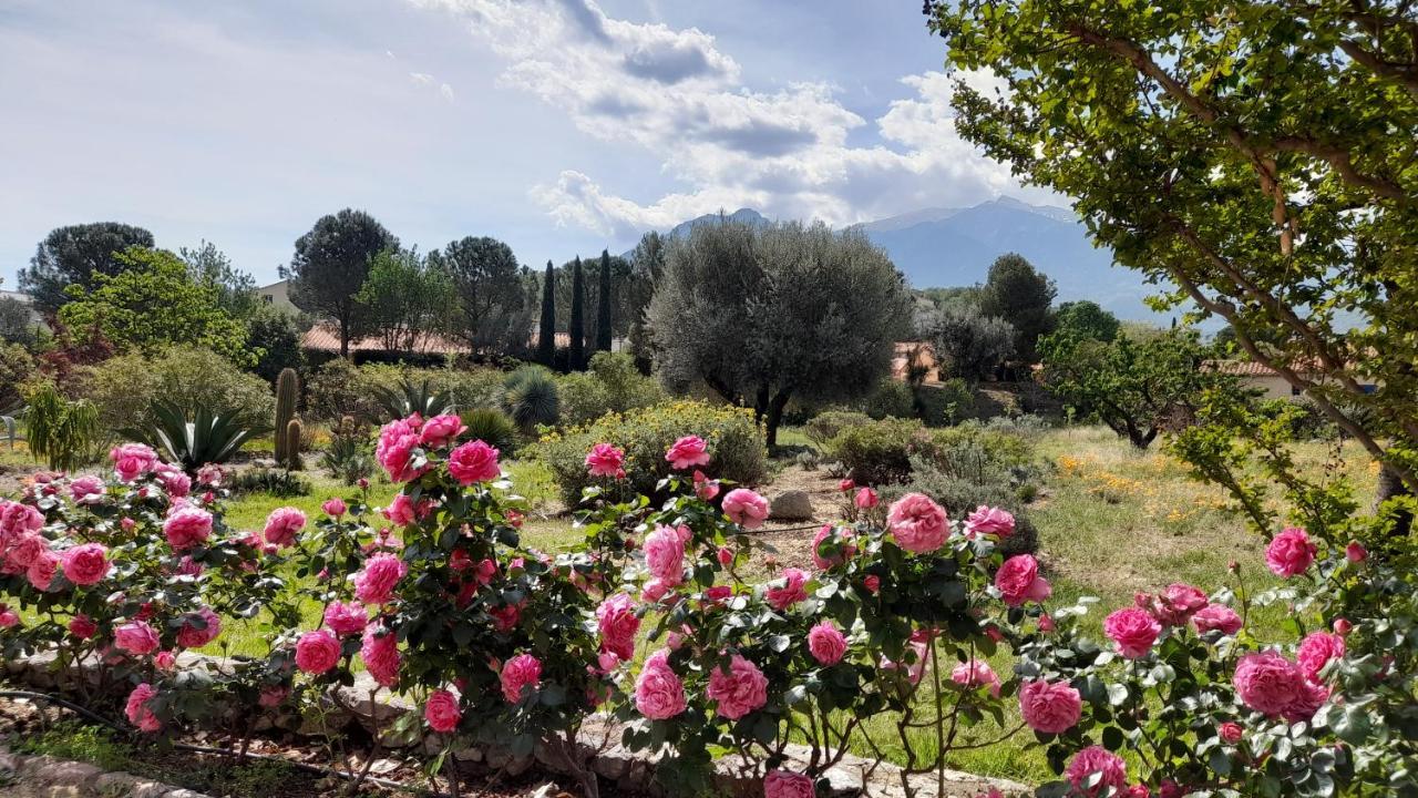 Castell Rose Panzió Prades  Kültér fotó