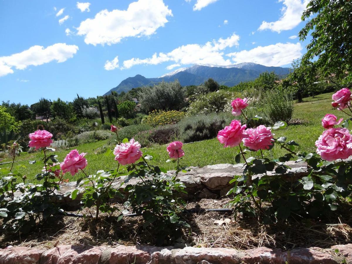 Castell Rose Panzió Prades  Kültér fotó